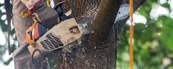 Best Lawn Watering Services  in Upper Arlington, OH