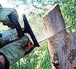 Best Emergency Tree Removal  in Upper Arlington, OH