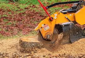 Lawn Maintenance Plans in Upper Arlington, OH